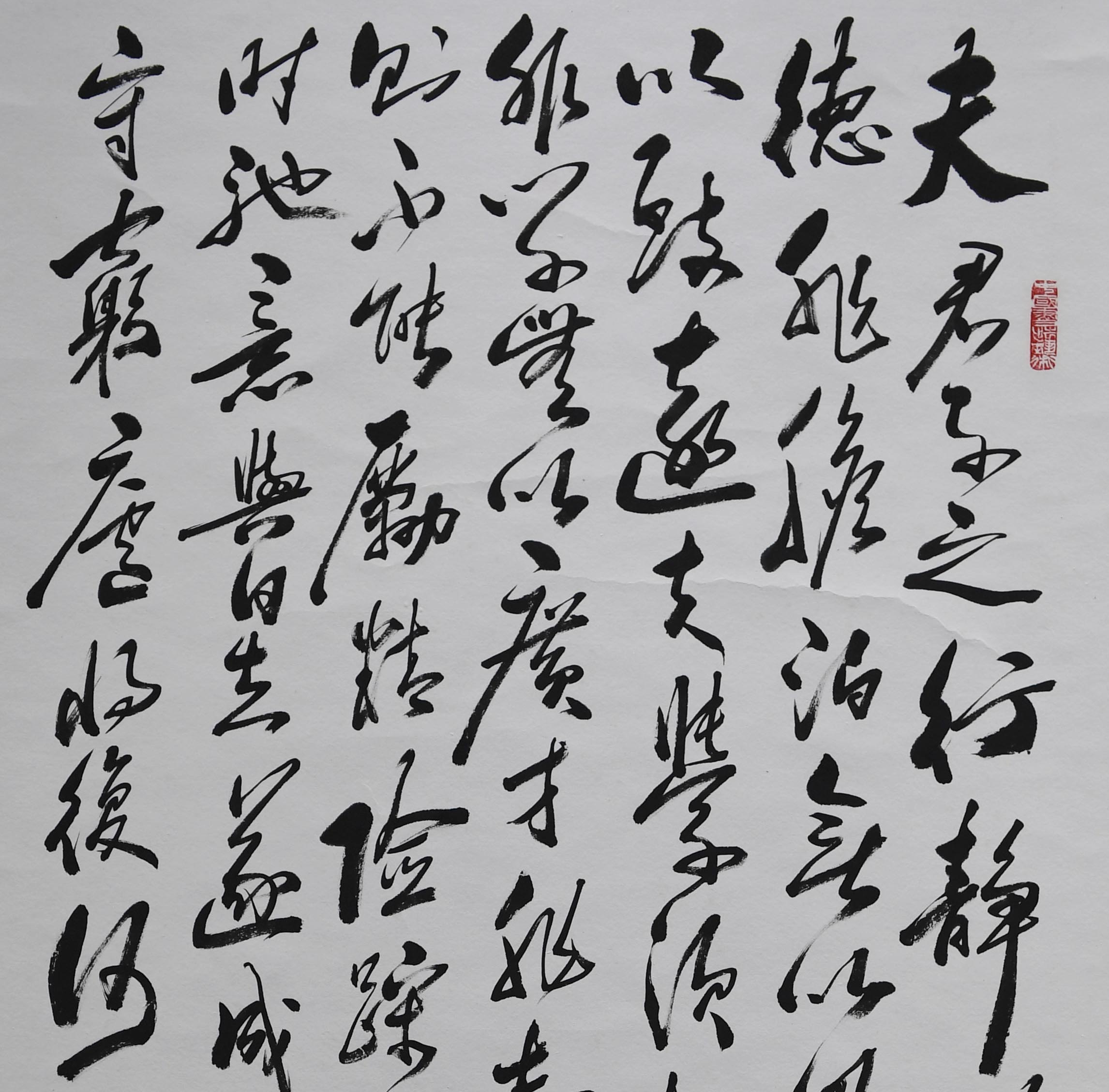 《戒子规》戴红果